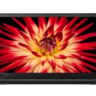 imgi_182_b55ada9e-1b0c-474a-821c-6768e240cb0c.e3d2de5521e2e5c0d4920642244cfcbb