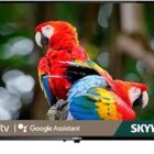 imgi_7_51T1C4E8vyL._AC_SL400_