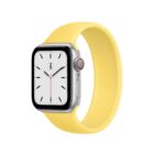 imgi_179_ginger-bb-solo-loop-apple-watch-band-783160